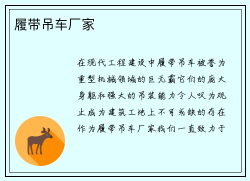 履带吊车厂家